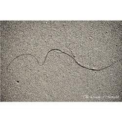dailyPhoto30
